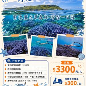 紫色薰衣草森林浮潛一日遊